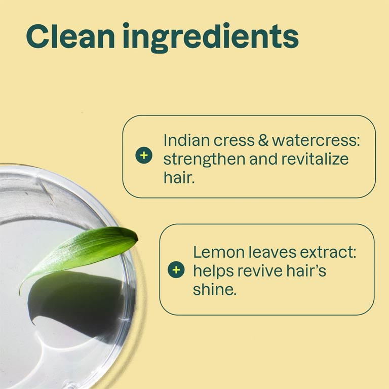 Attitude Natural Care Super Leaves Clarifying Conditioner