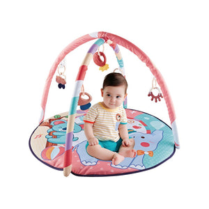 Activity Gym Happy Moment Sit & Play (0m+) Pink