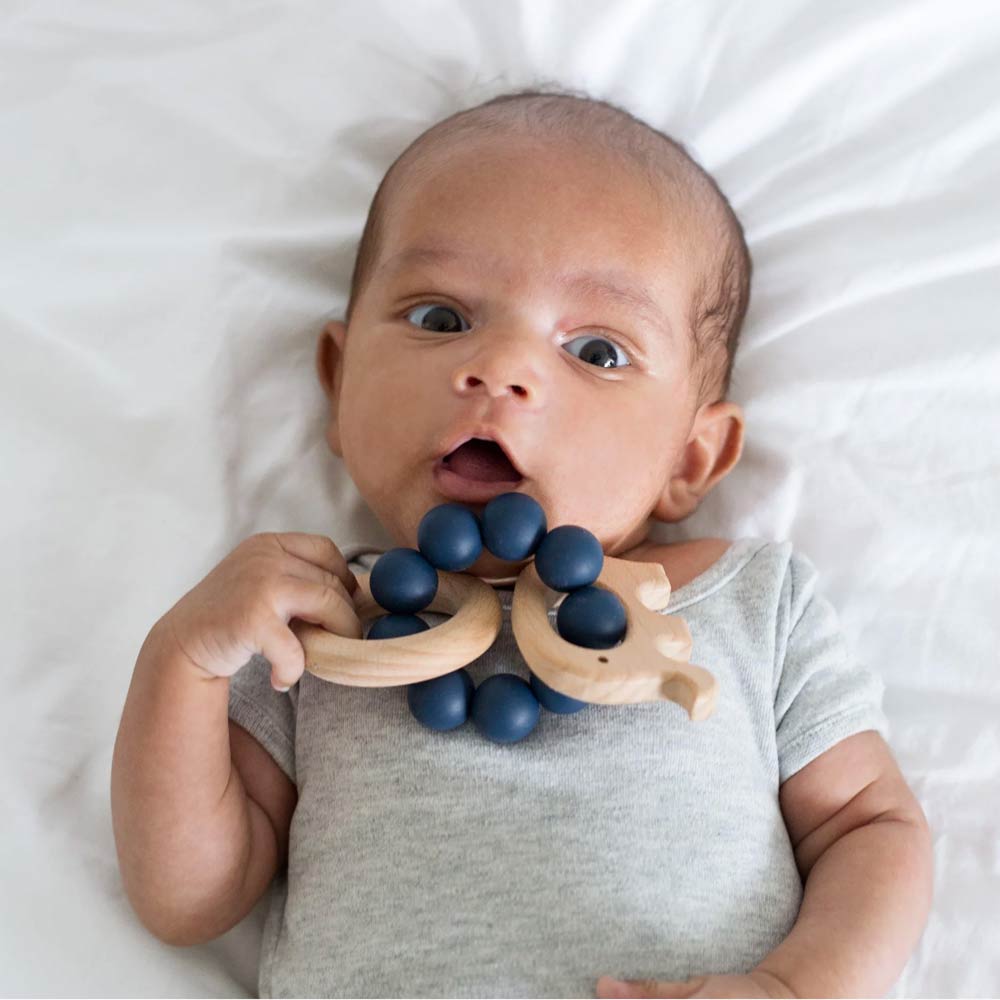 Chewies & More Play Rattle Elephant