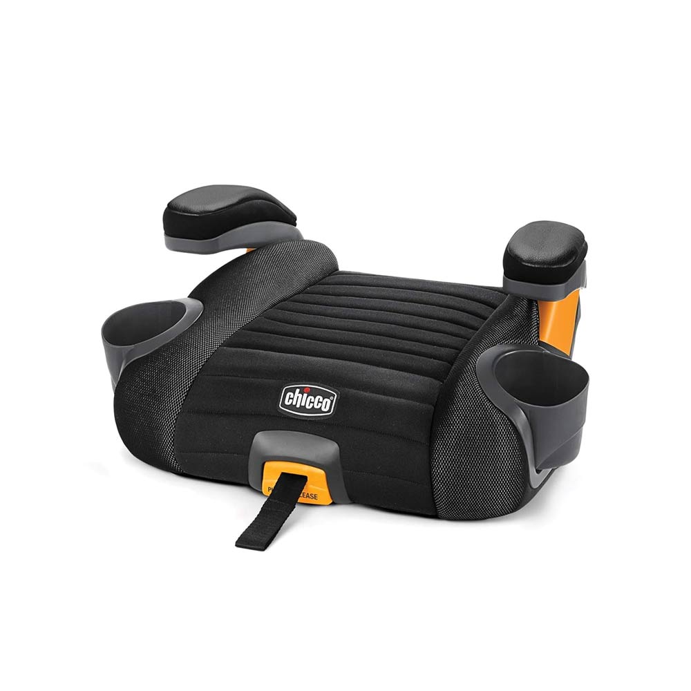 Chicco GoFit Plus Car Seat - Iron