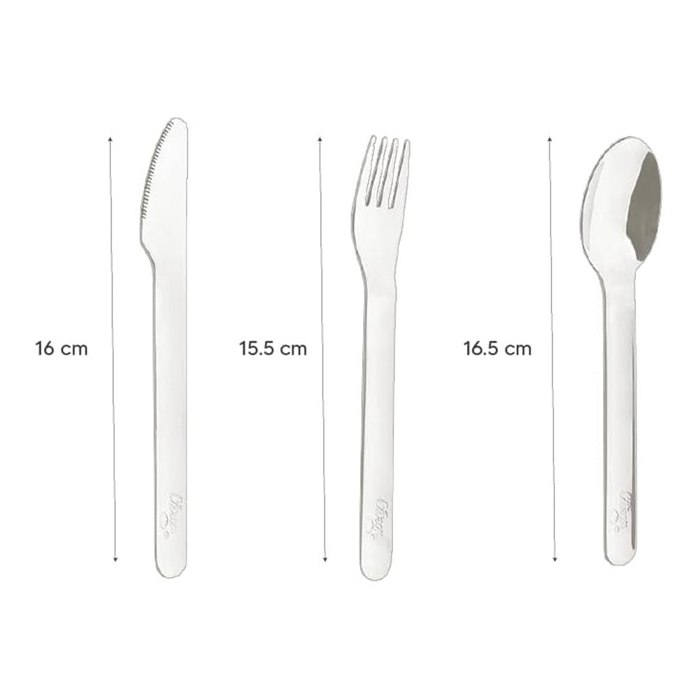 Citron Stainless Steel Cutlery Set with Case