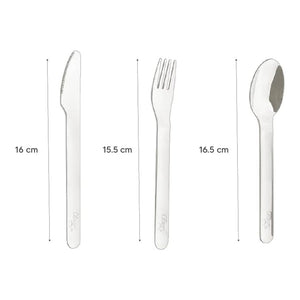 Citron Stainless Steel Cutlery Set with Case