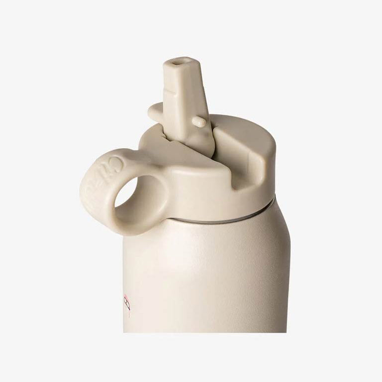 Citron Stainless Steel Water Mini Bottle (250ml) - Vehicles