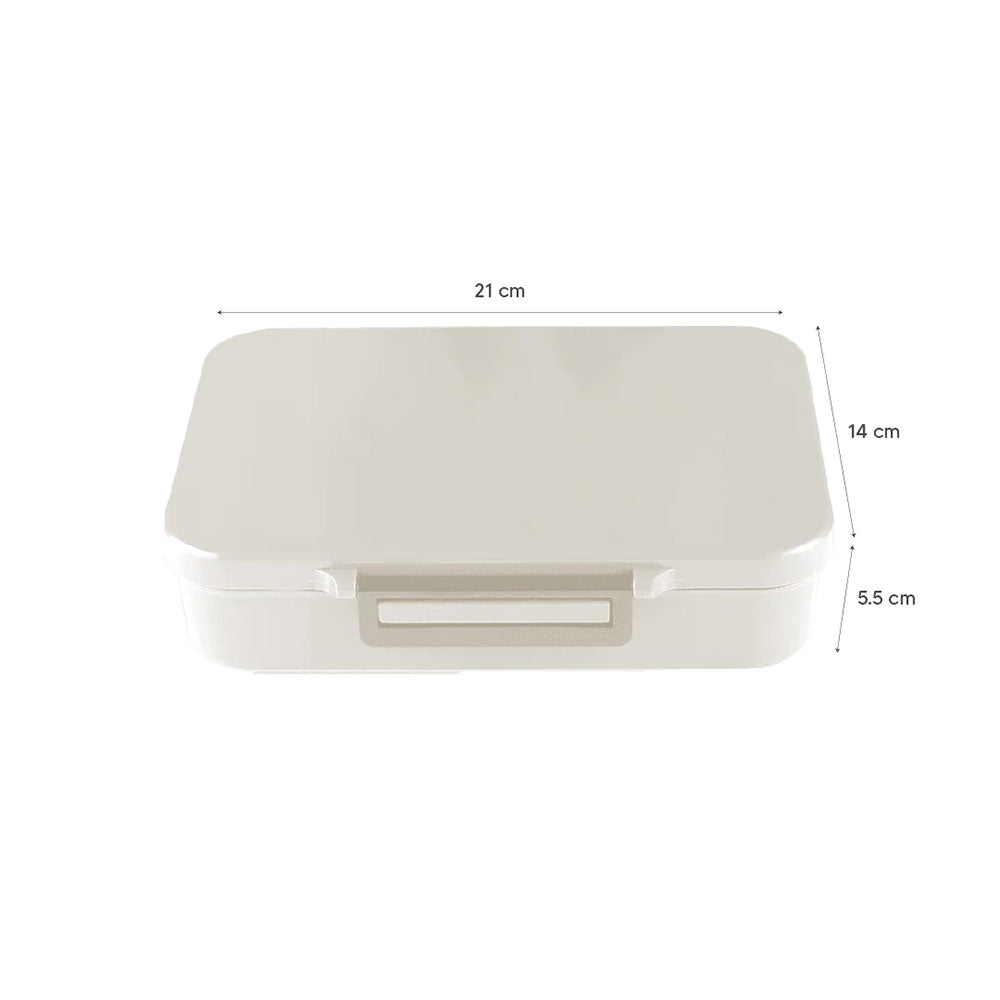 Citron Tritan Lunch Box Size