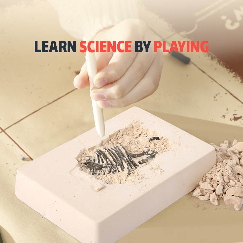 Dig & Explore! The Biggest Dino Kit (6yrs+) - Titanosaur