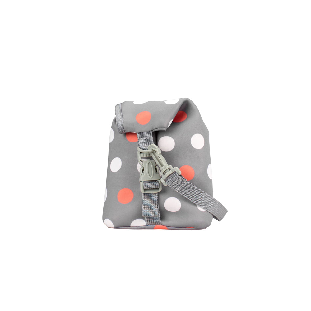 DrBrownsBottleBaggray