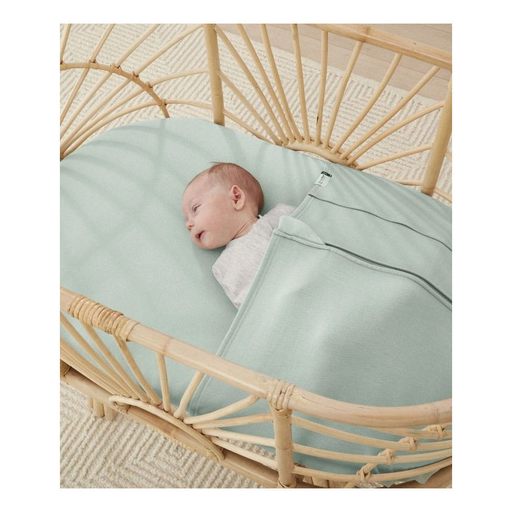 ErgobabyBabyTuckBassinetCradle