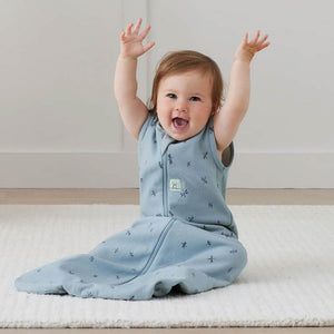 Ergopouch 1.0 TOG Jersey Sleeping Bag (3-12m) - Dragon Flies Blue