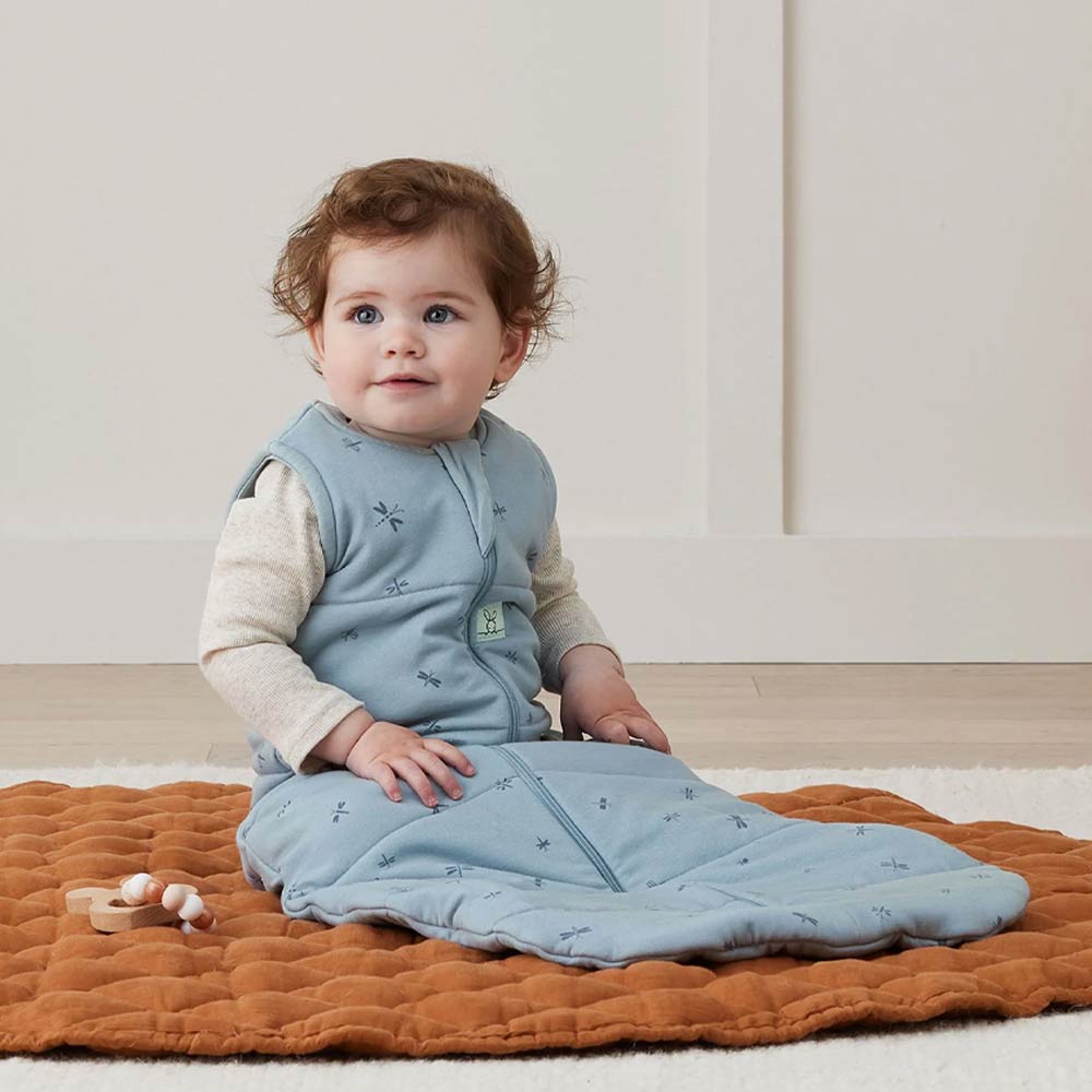 Ergopouch 2.5 TOG Jersey Sleeping Bag (3-12m) - Dragon Flies Blue