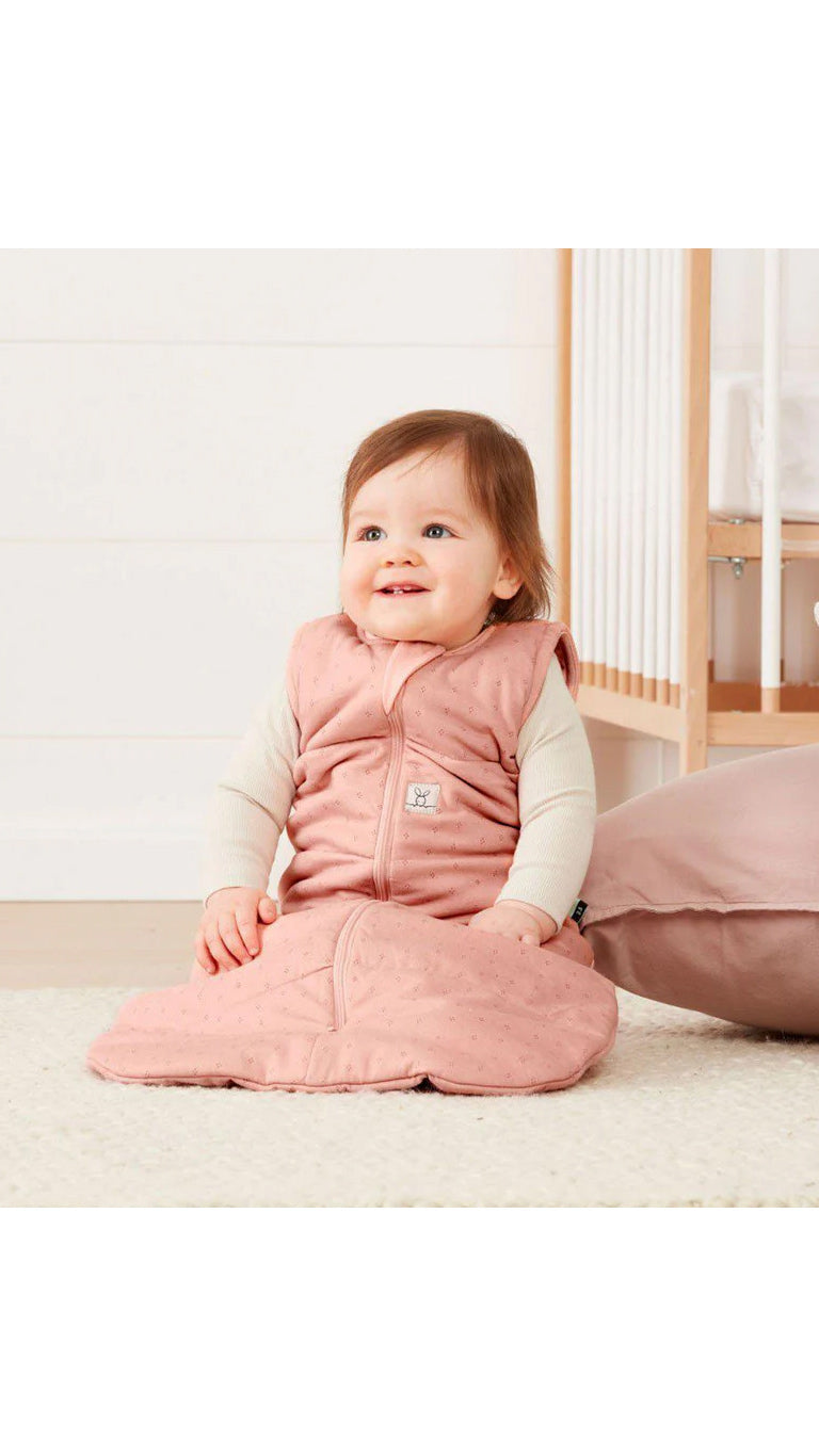 Ergopouch Jersey 2.5 Tog Sleeping Bag (3-12m) – Berries