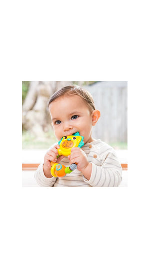 InfantinoLionTeether2