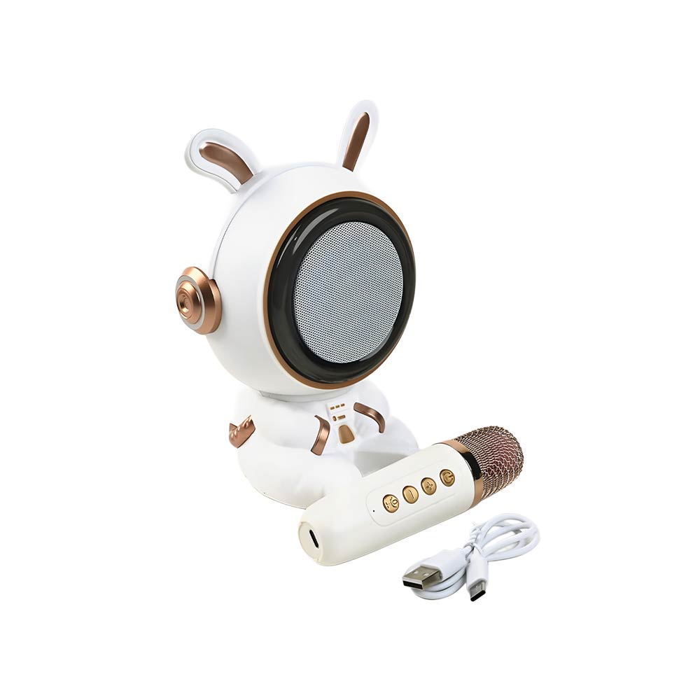 Karaoke Wireless Bluetooth Speaker Space Rabbit