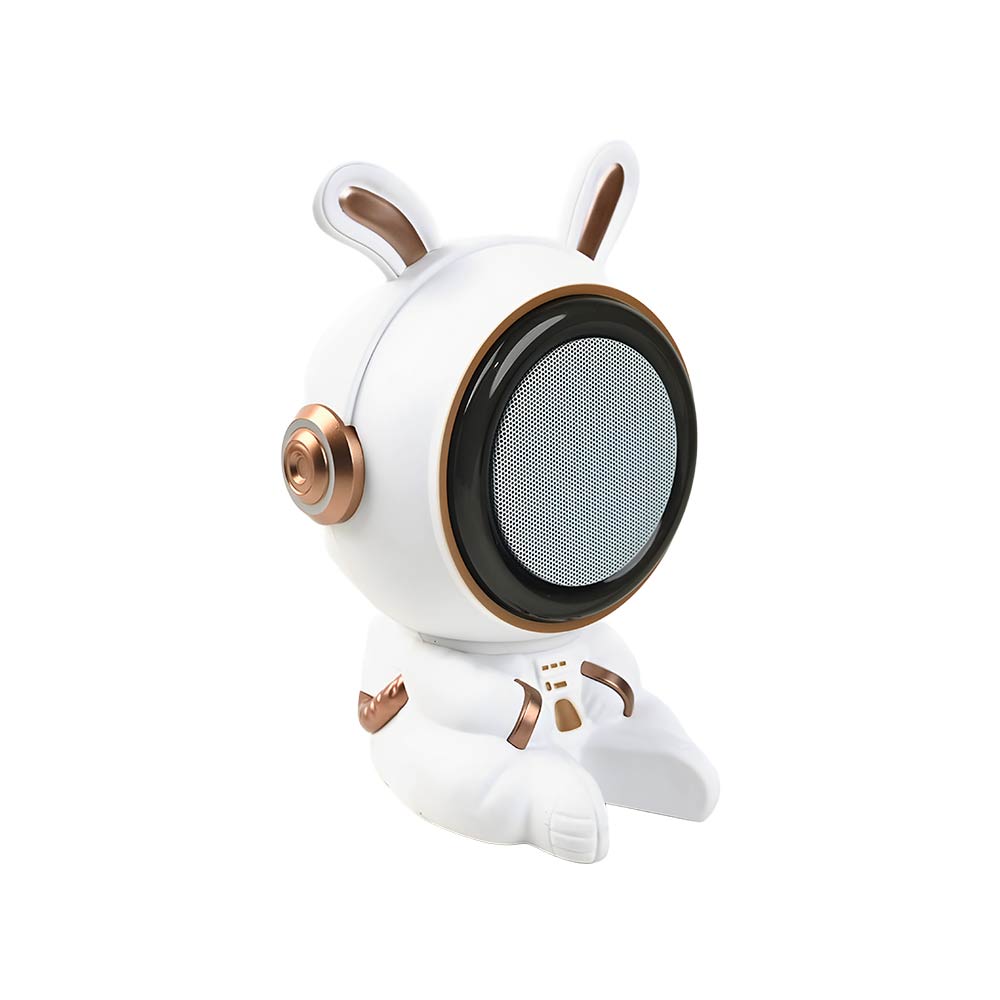Karaoke Wireless Bluetooth Speaker - Space Rabbit