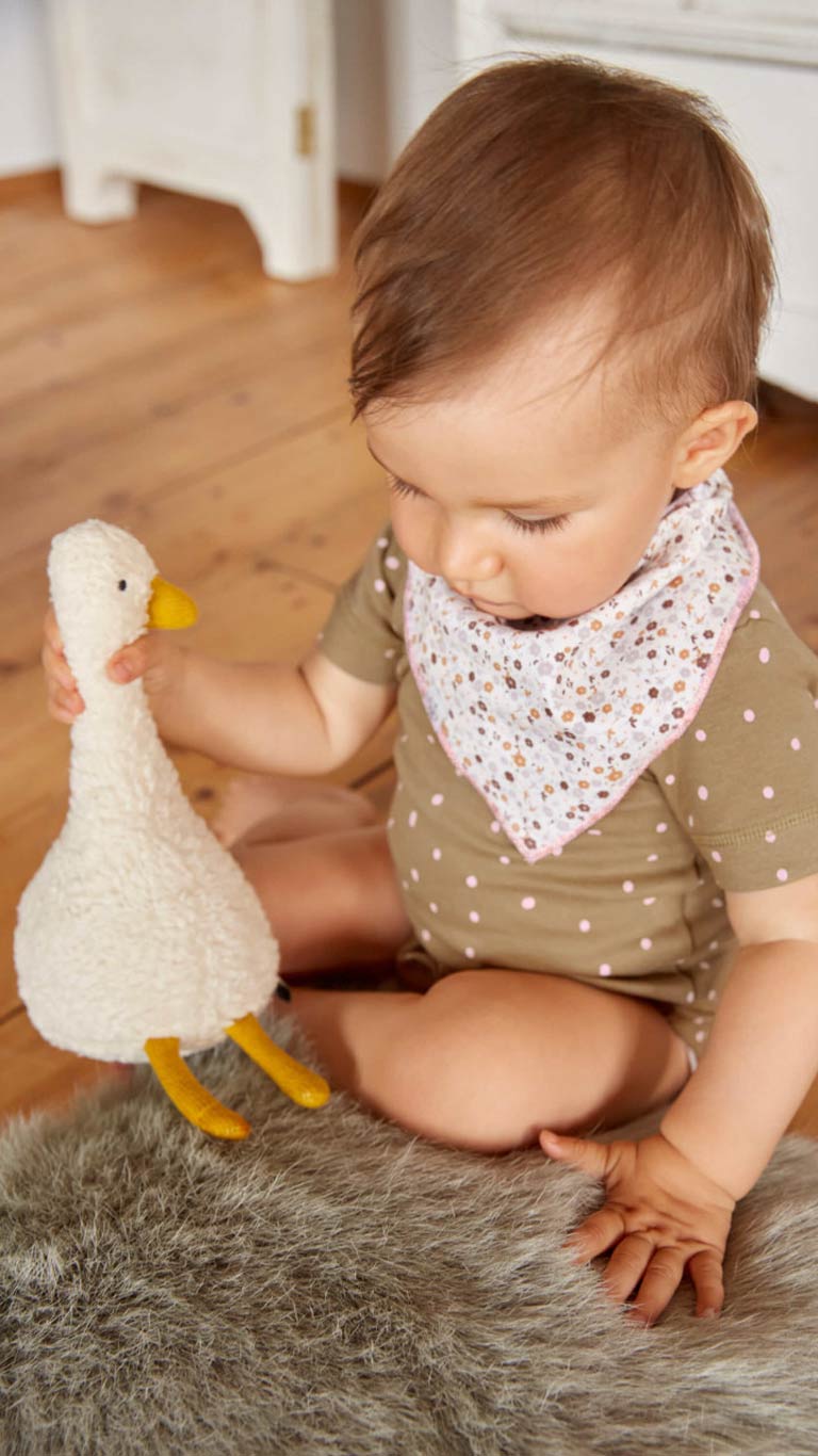 Lässig Digital Music Box with Bluetooth Speaker - Goose