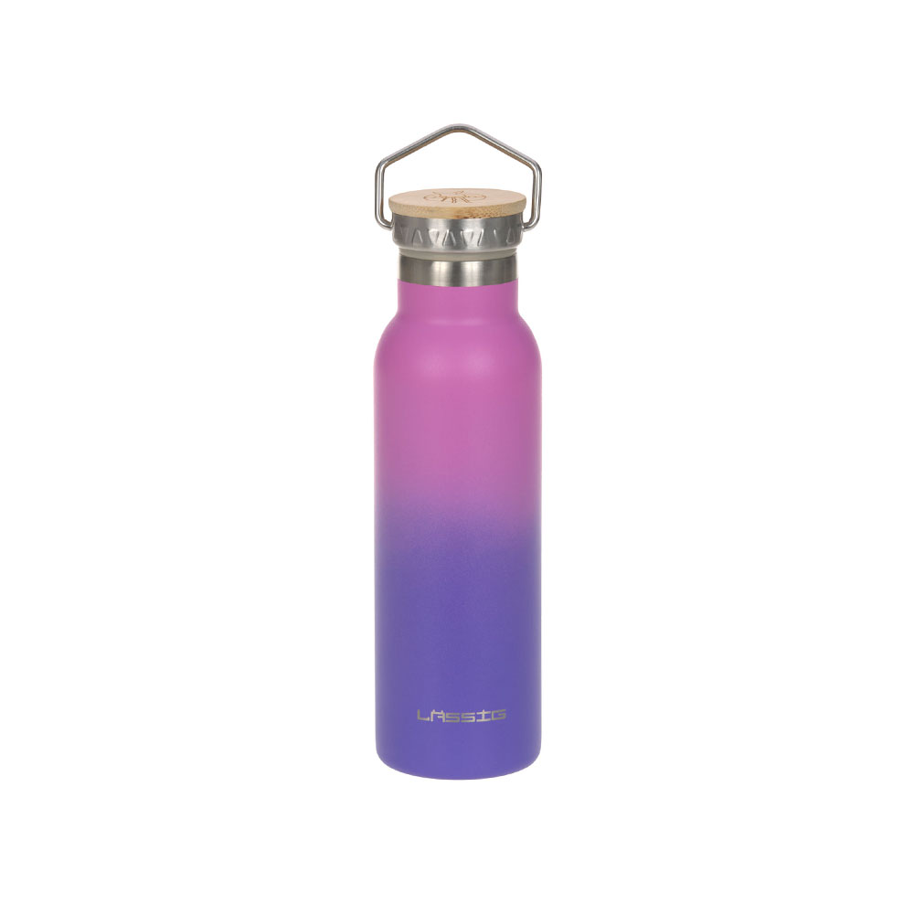 Lassig Double Walled Stainless Steel Bottle 460ml - Unique, Gradient Purple