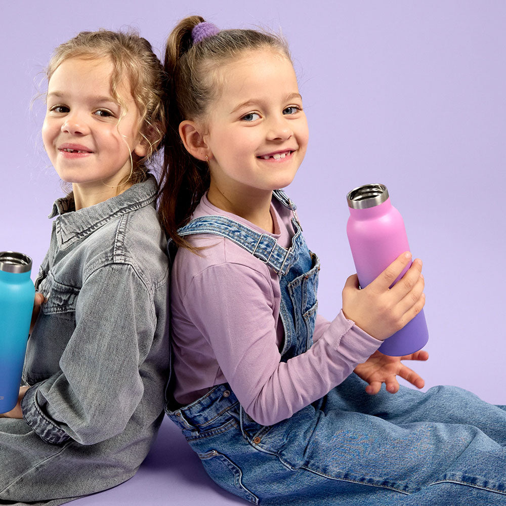 Lassig Double Walled Stainless Steel Bottle 460ml - Unique, Gradient Purple