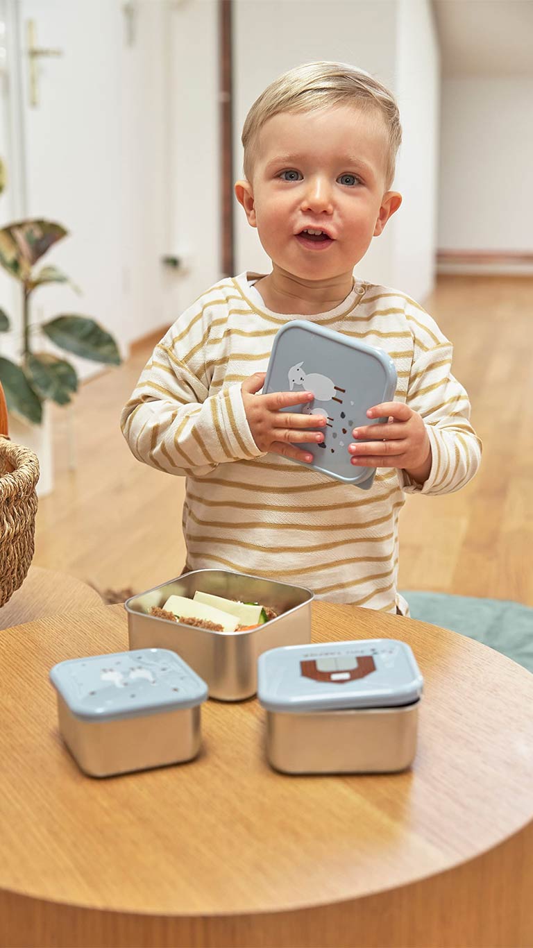 Lässig Stainless Steel Snackbox Children (3pcs) - Blue