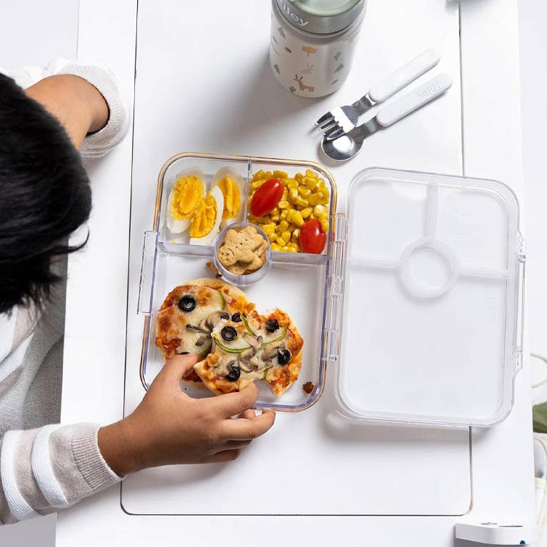 Little IA Tritan Bento Box (Clear) - Dinosaur