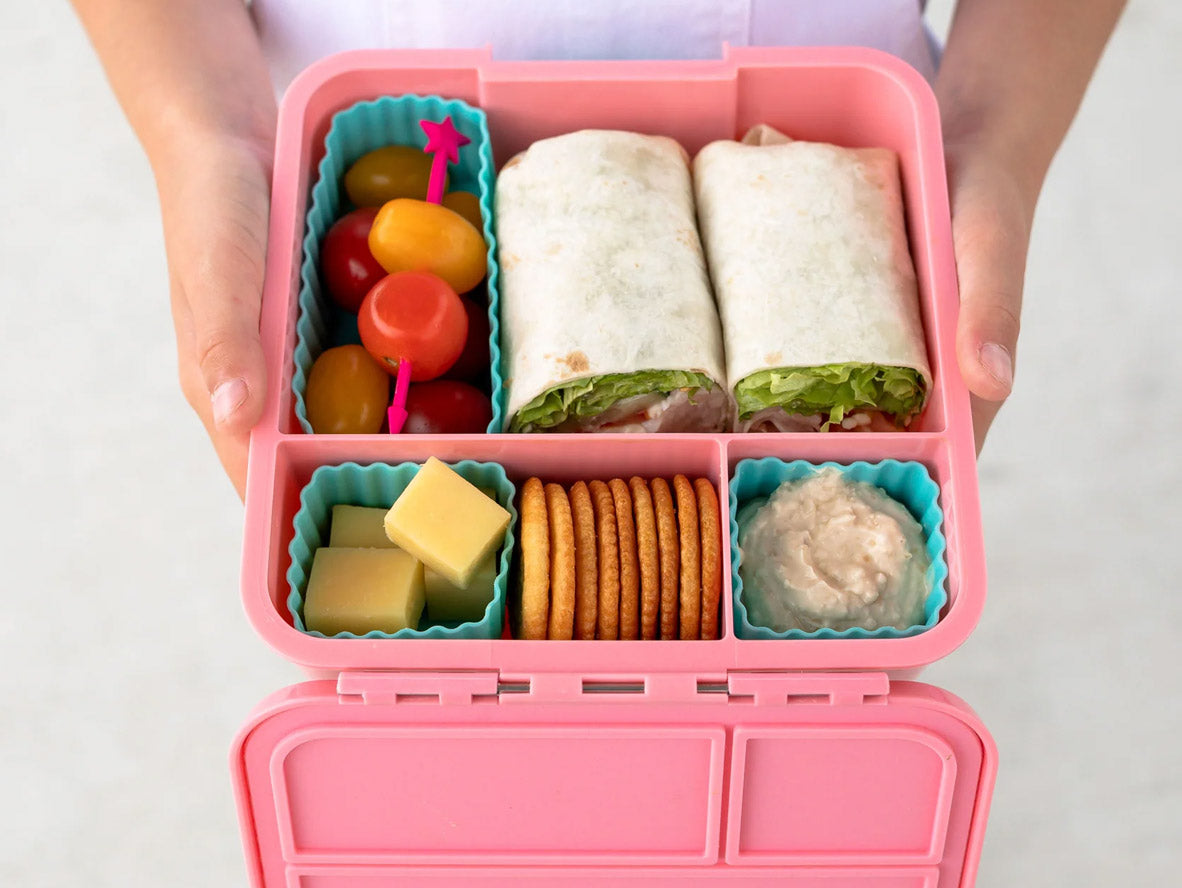 LittleLunchBoxCoIcedBerry