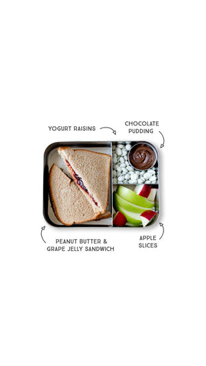 LunchbotsLargeBentoBox4