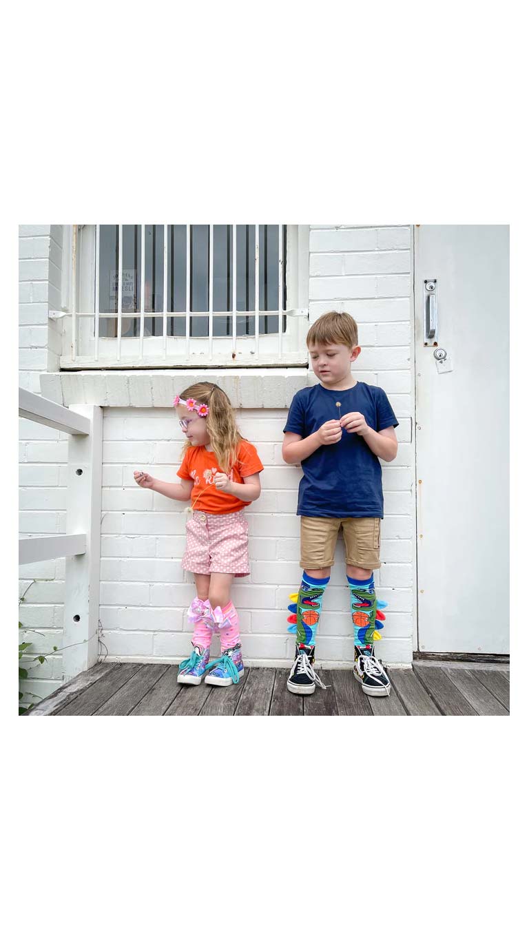 MadmiaDinosaurSocksforKids