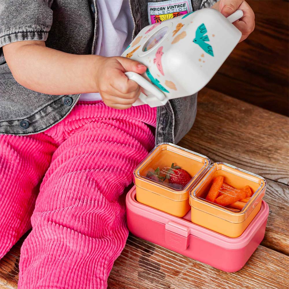 Monbento Kids Lunch Box 800ml - Pink Birds
