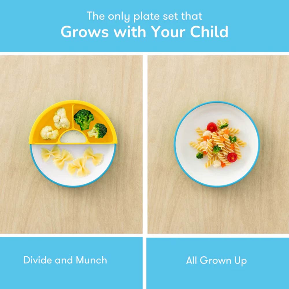 Omie Easy Scoop Kids Plate with Divider - Blue
