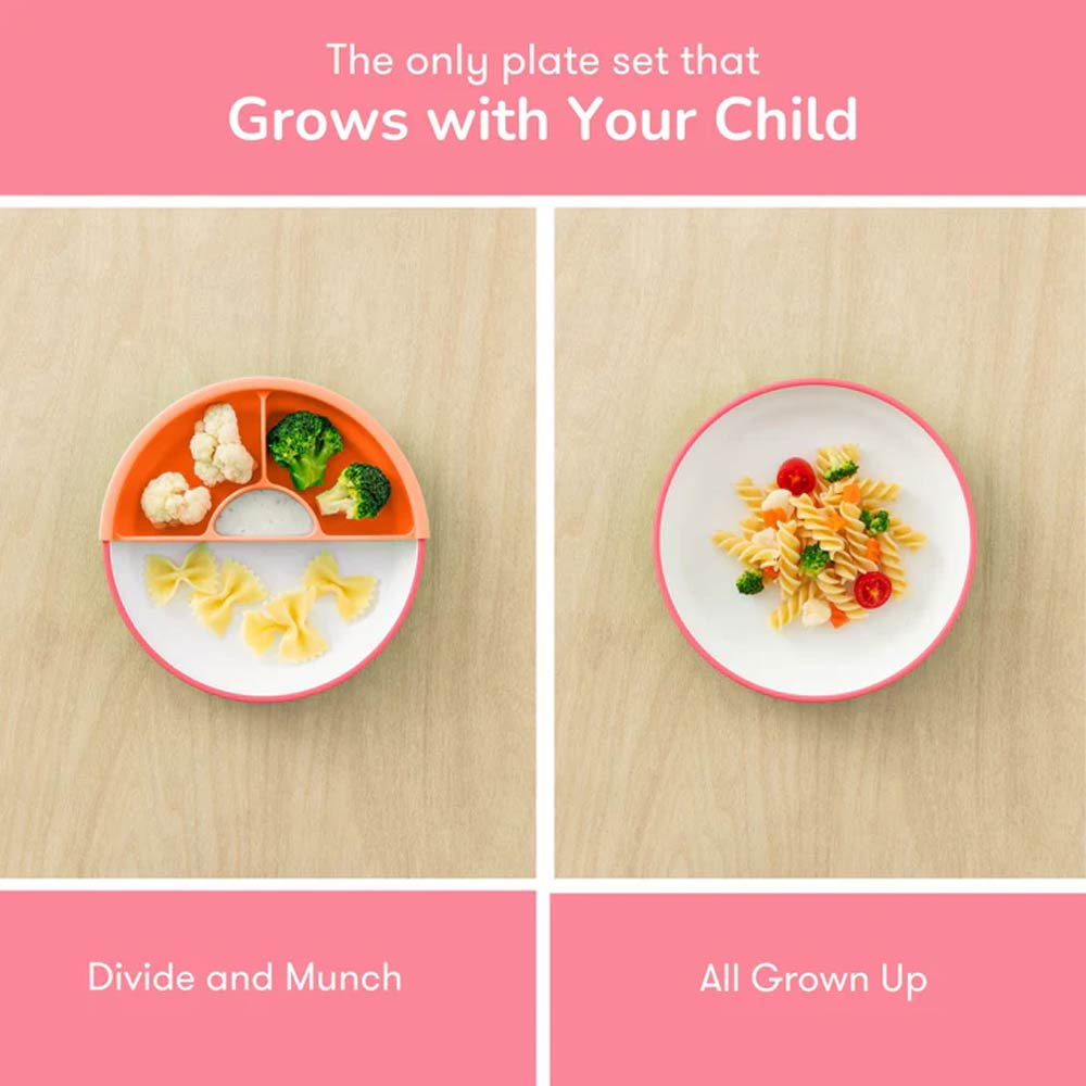 Omie Easy Scoop Kids Plate with Divider - Pink