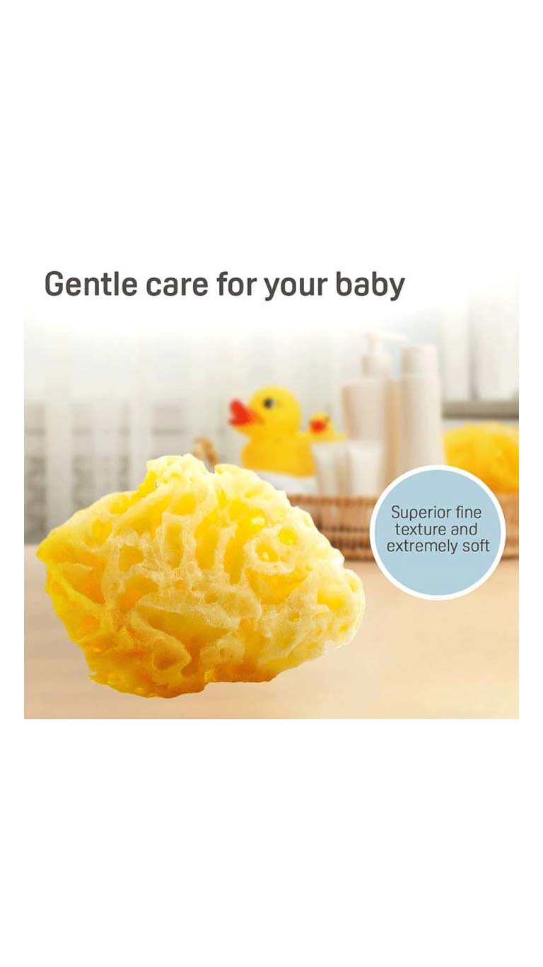 PigeabNaturalSponge