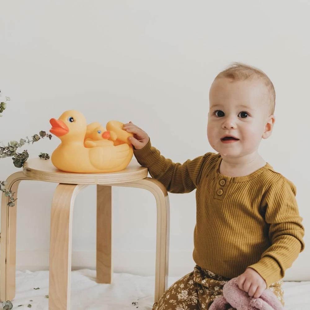 Playgro Bath Duckie Family - Fully Sealed