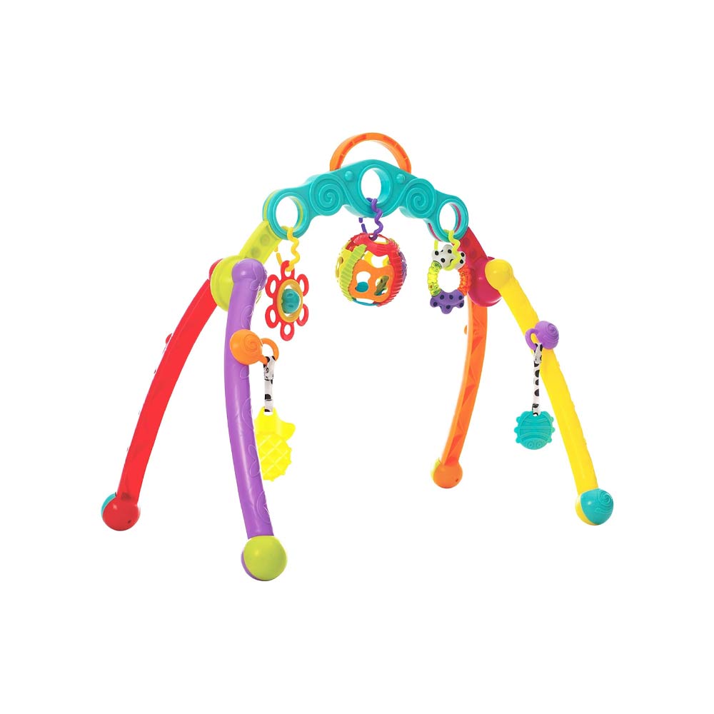 Playgro Fold & Go Play Gym (0m+)