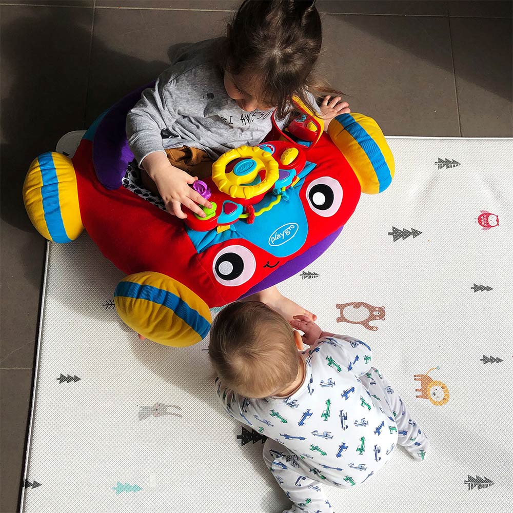 Playgro Music & Lights Comfy Car (6m+)