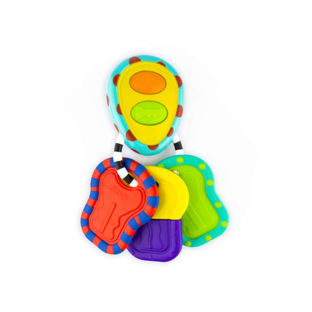 SassyElectronicKeys