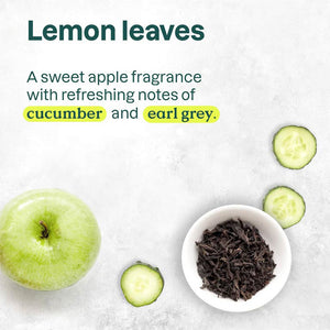 Attitude Natural Care Super Leaves Clarifying Shampoo