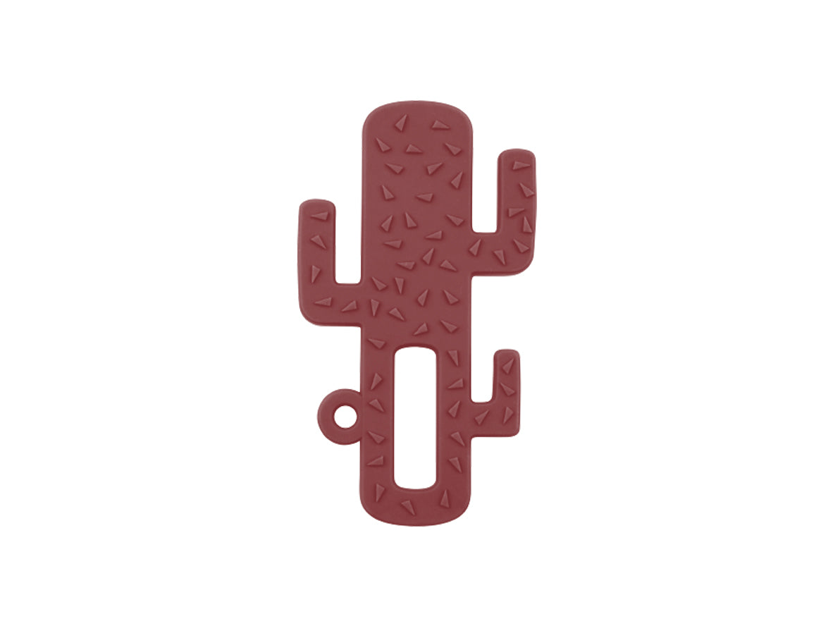 cactusminikoioiRose