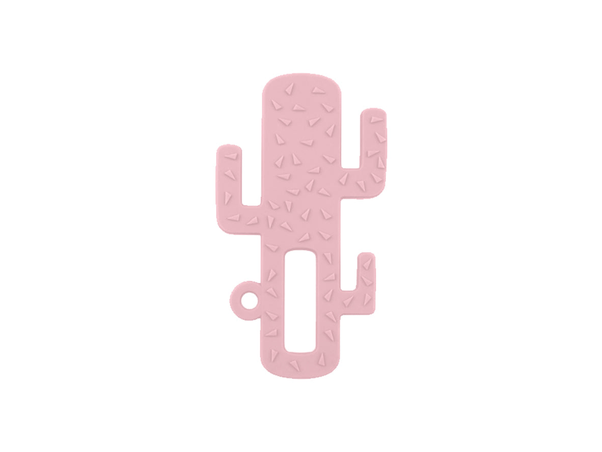 MinikoioiCactusPinkyPink