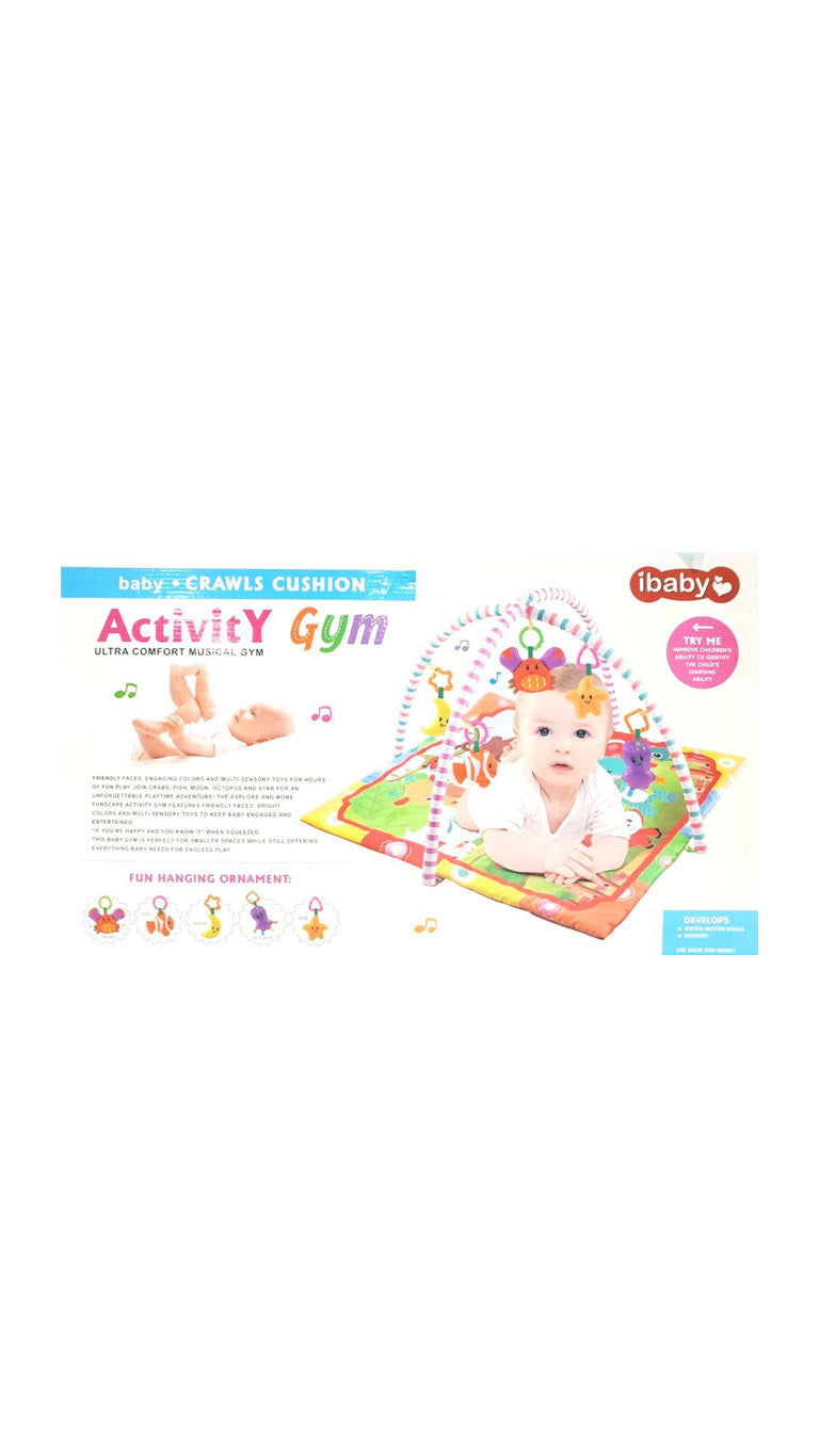 iBabyActivityGym