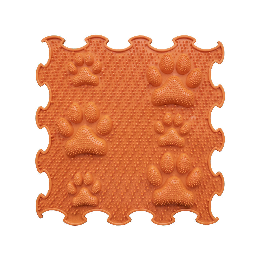 pawsorange